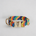 Collar Festival
