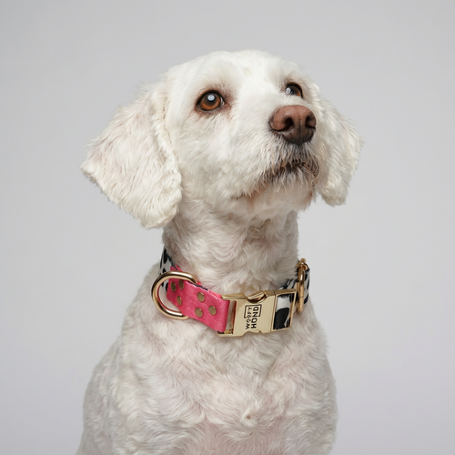 Collar CandyMix