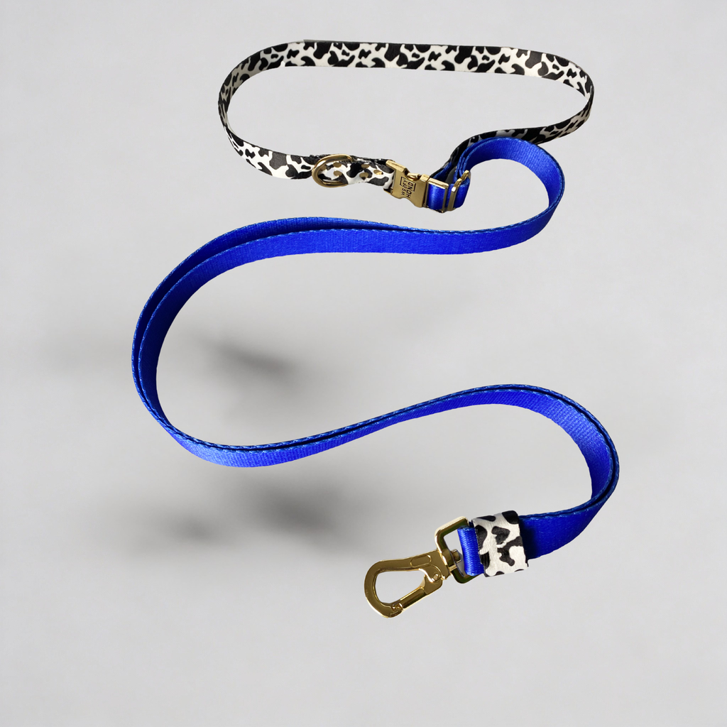 Hands-Free Leash Blueberry