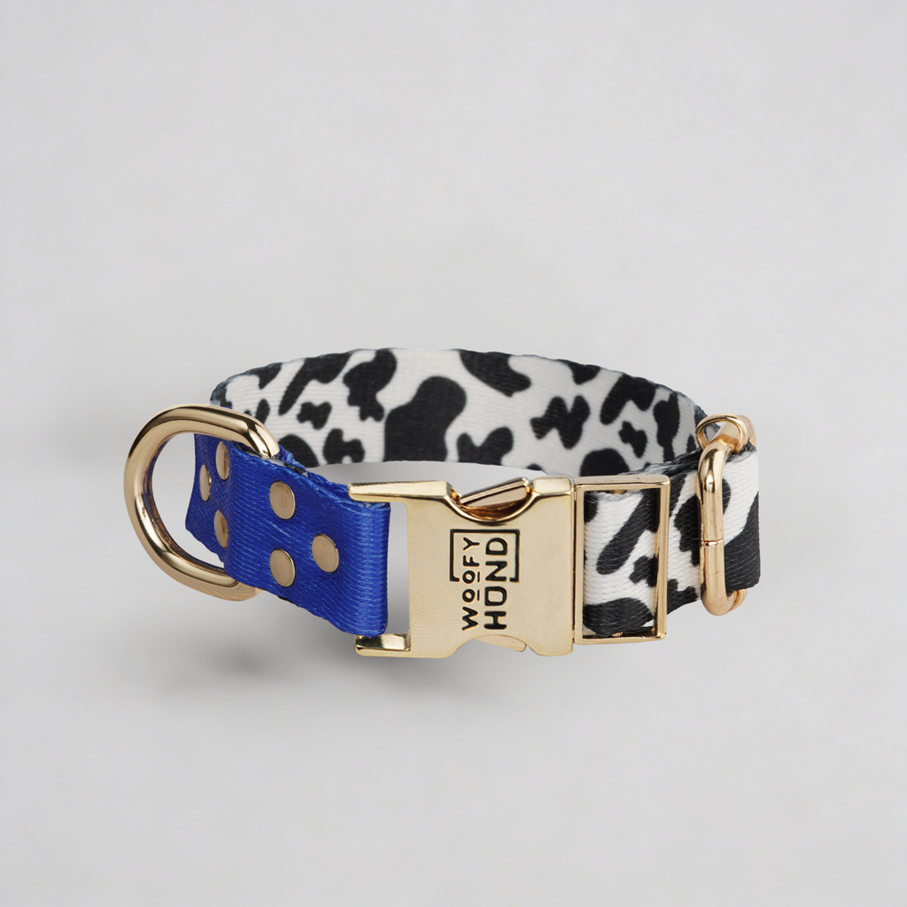 Collar Blueberry