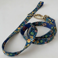 Dog leash Galaxy