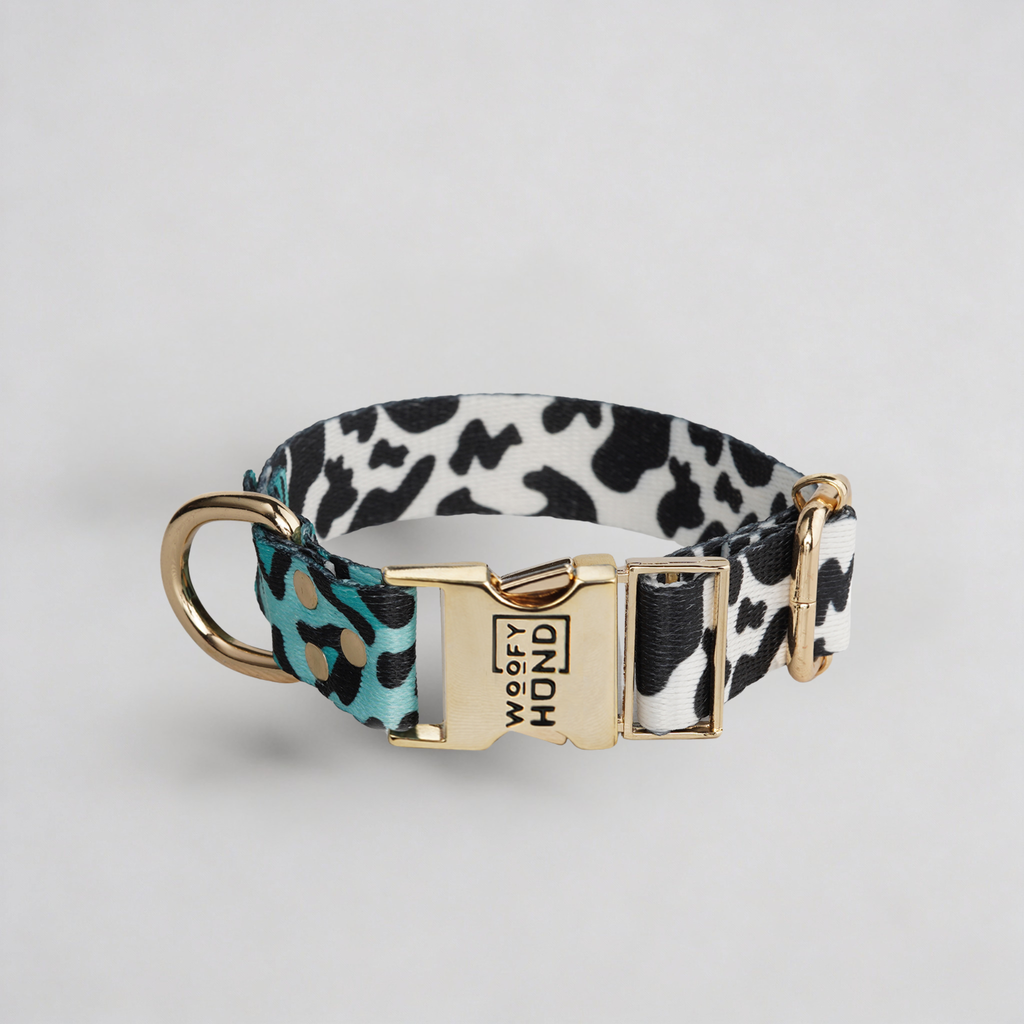 Collar Aqua Camo