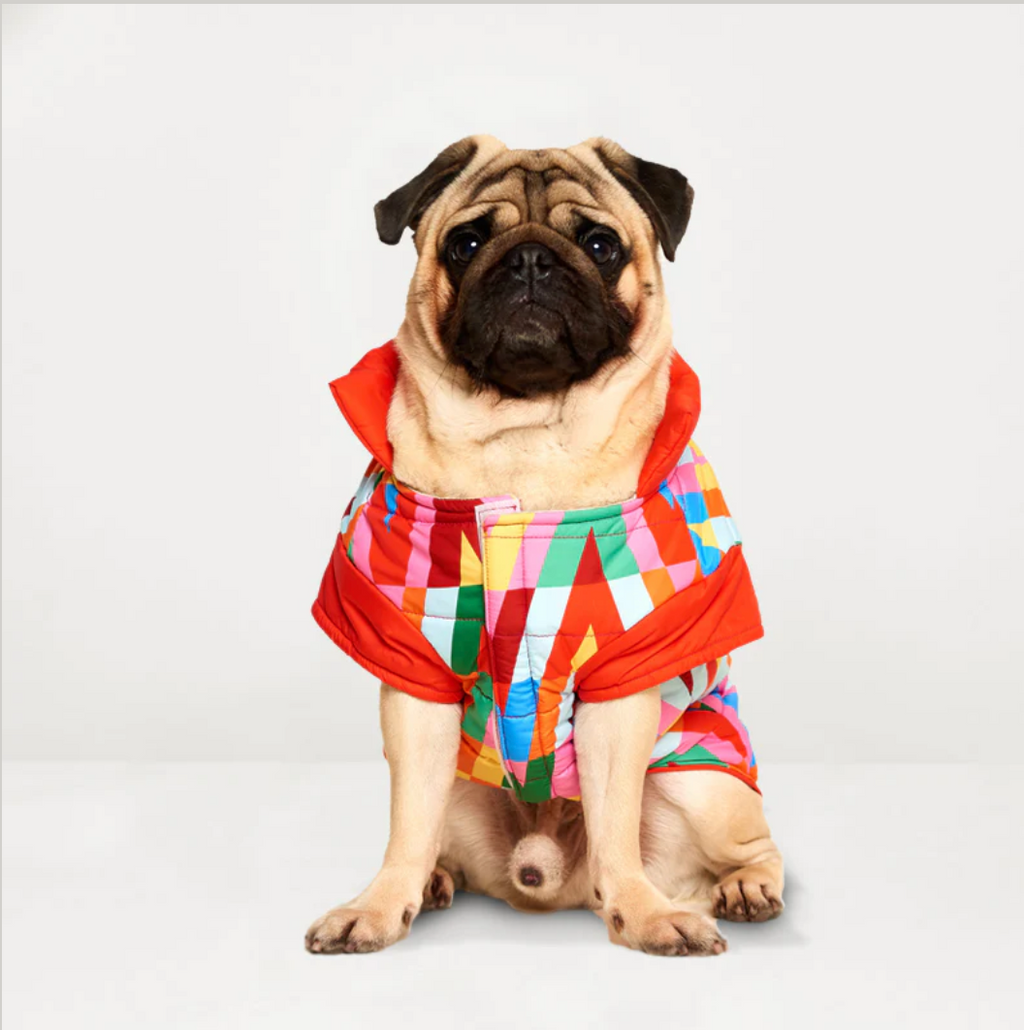 Color Splash Waterproof Puffer Jacket