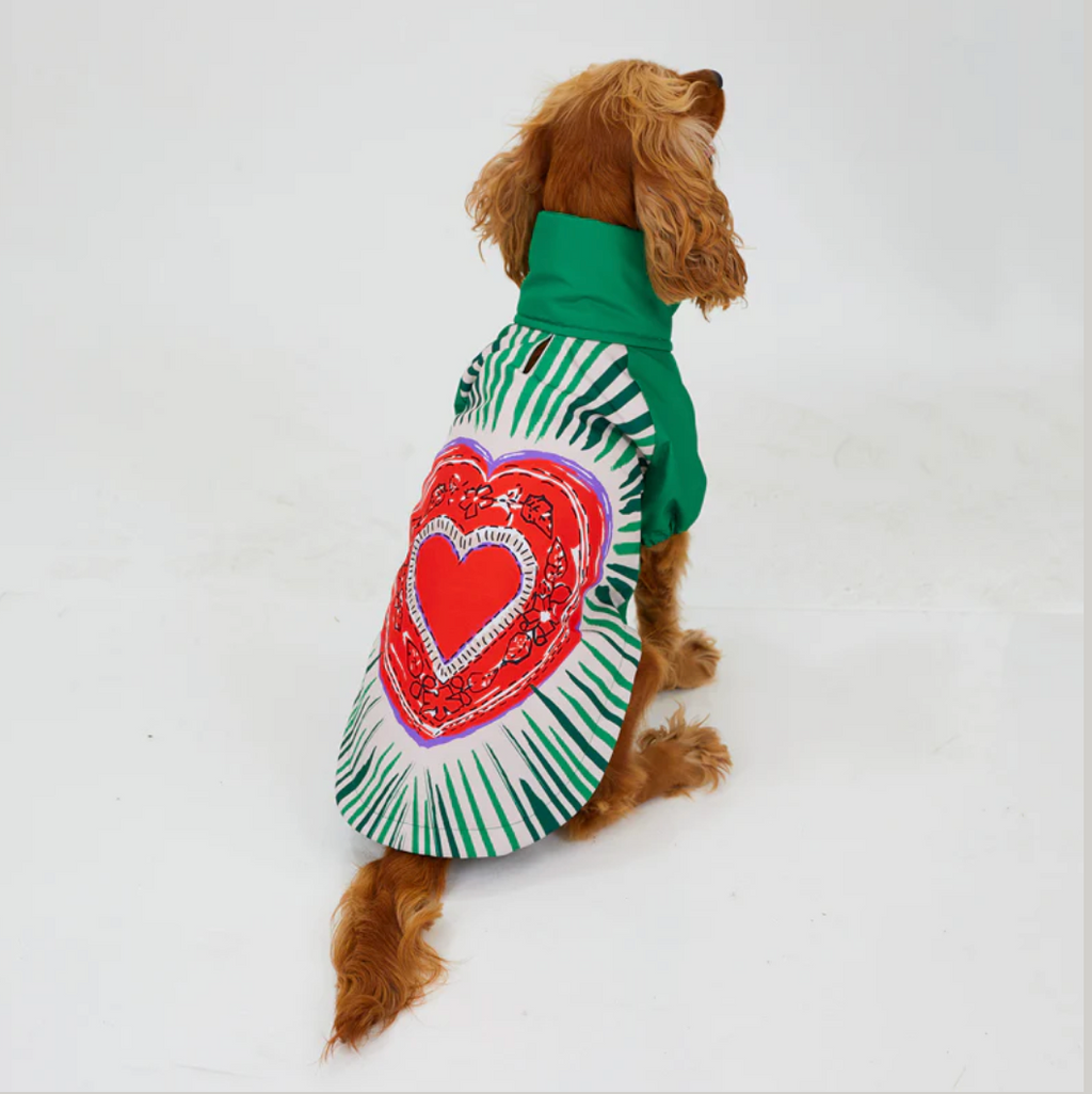 LoveShield Raincoat