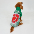 LoveShield Raincoat