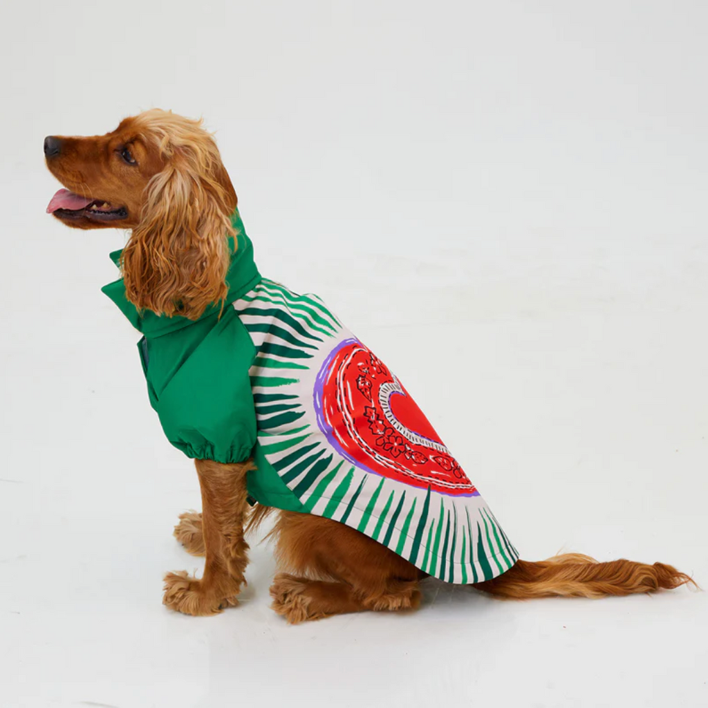 LoveShield Raincoat