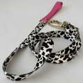 Leash CandyMix