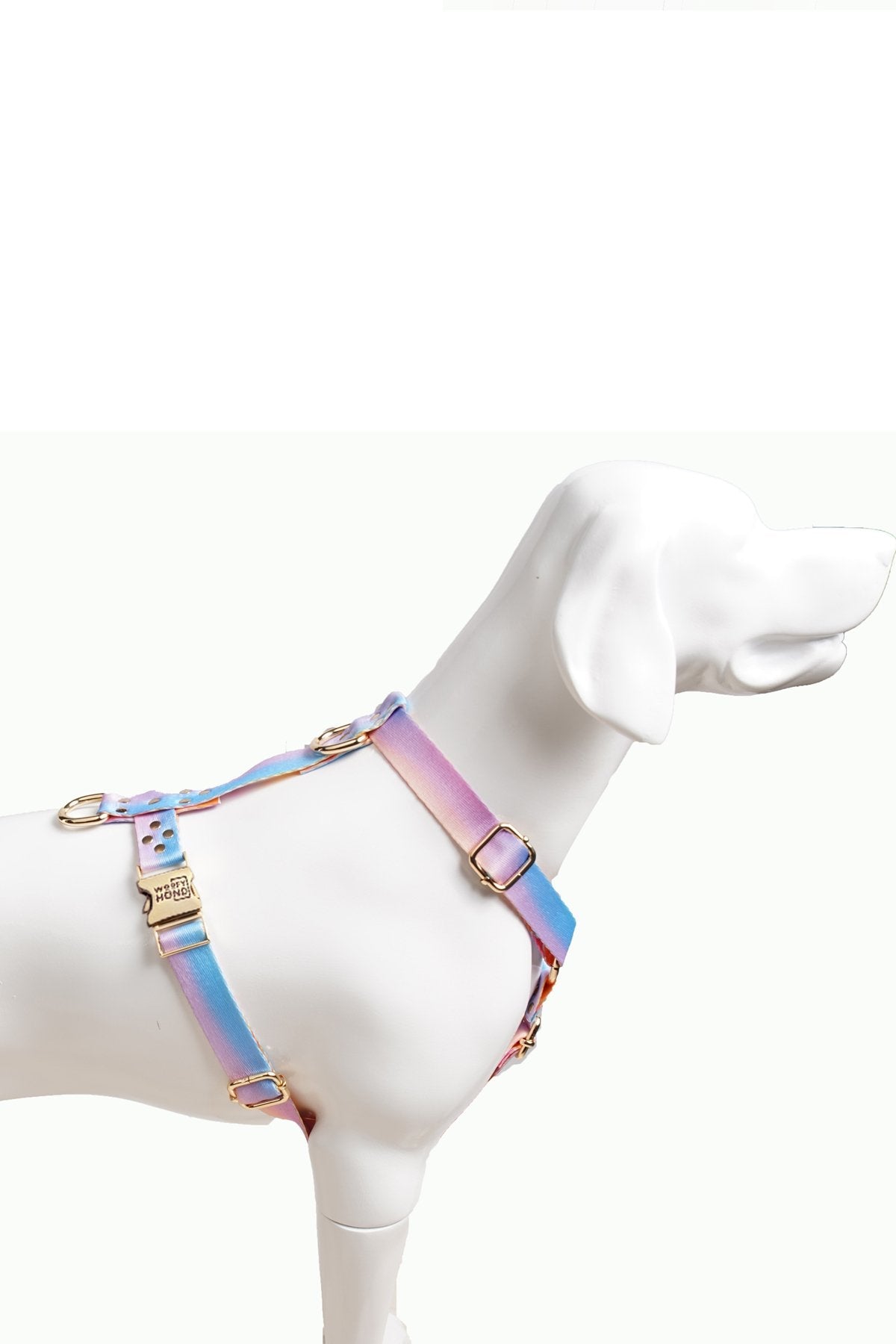 Harness Aurora