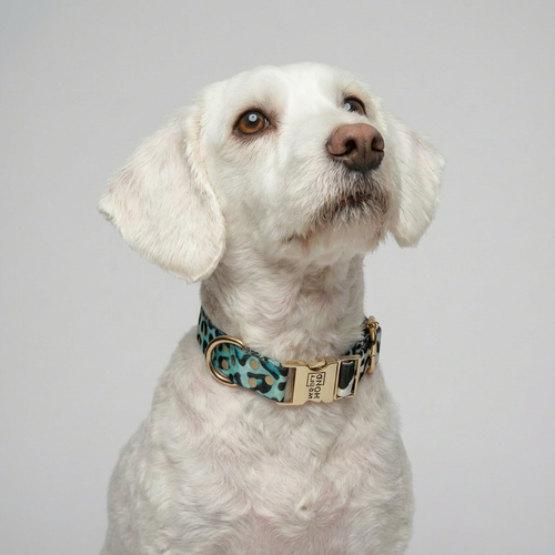 Collar Aqua Camo