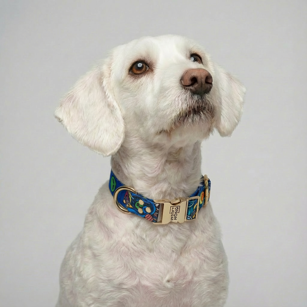 Collar Galaxy