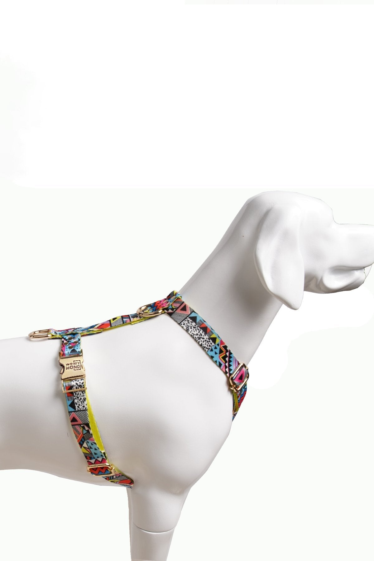 Harness Ethnic-Vibrance