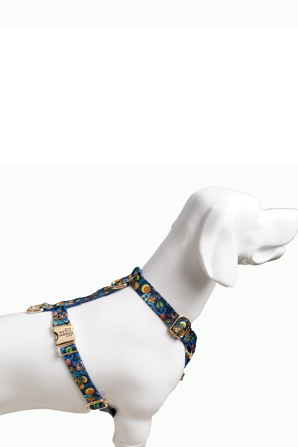 Harness Galaxy