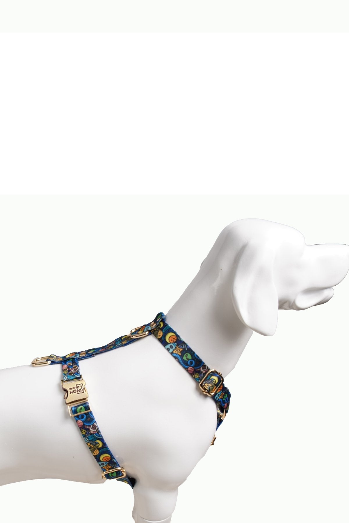 Harness Galaxy