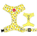 Reedog LEMON | Dog harness