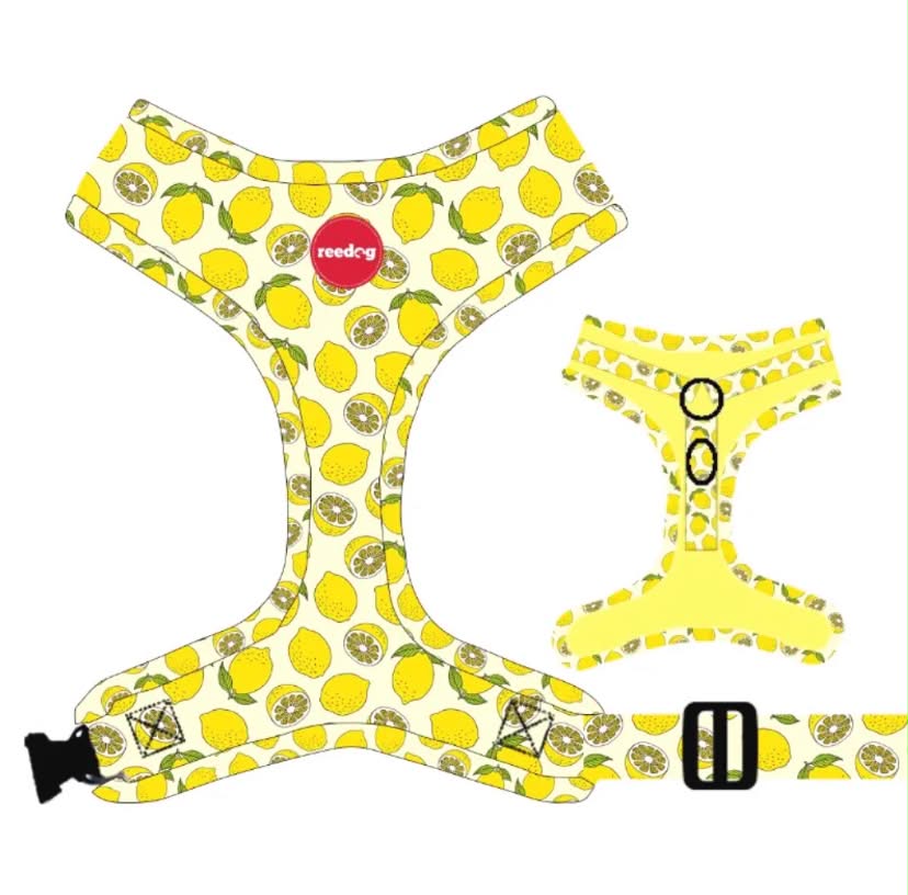 Reedog LEMON | Dog harness