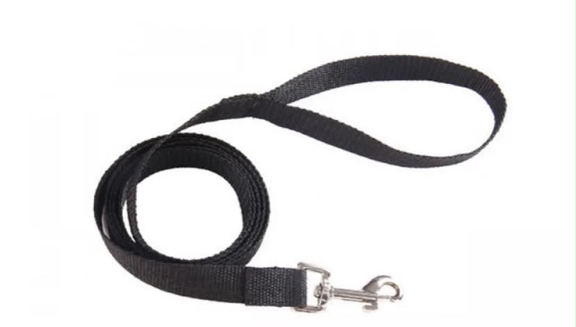 Reedog Long Dog Leash for Training