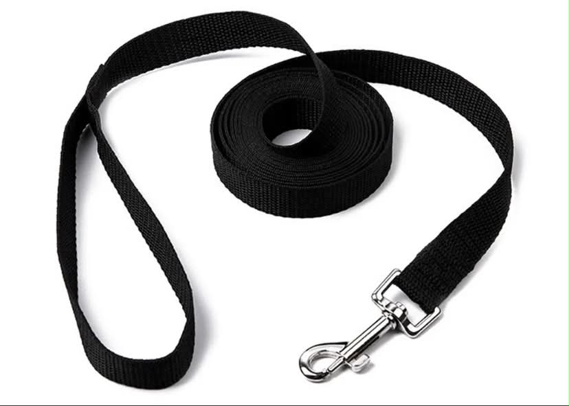 Reedog Long Dog Leash for Training