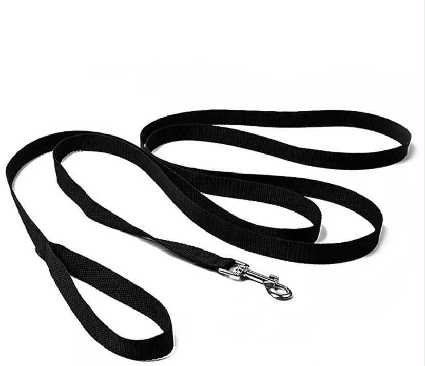 Reedog Long Dog Leash for Training